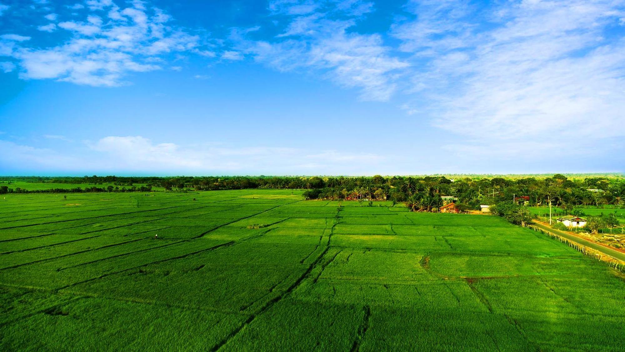 Avonil Resort Yala Tissamaharama Exterior photo